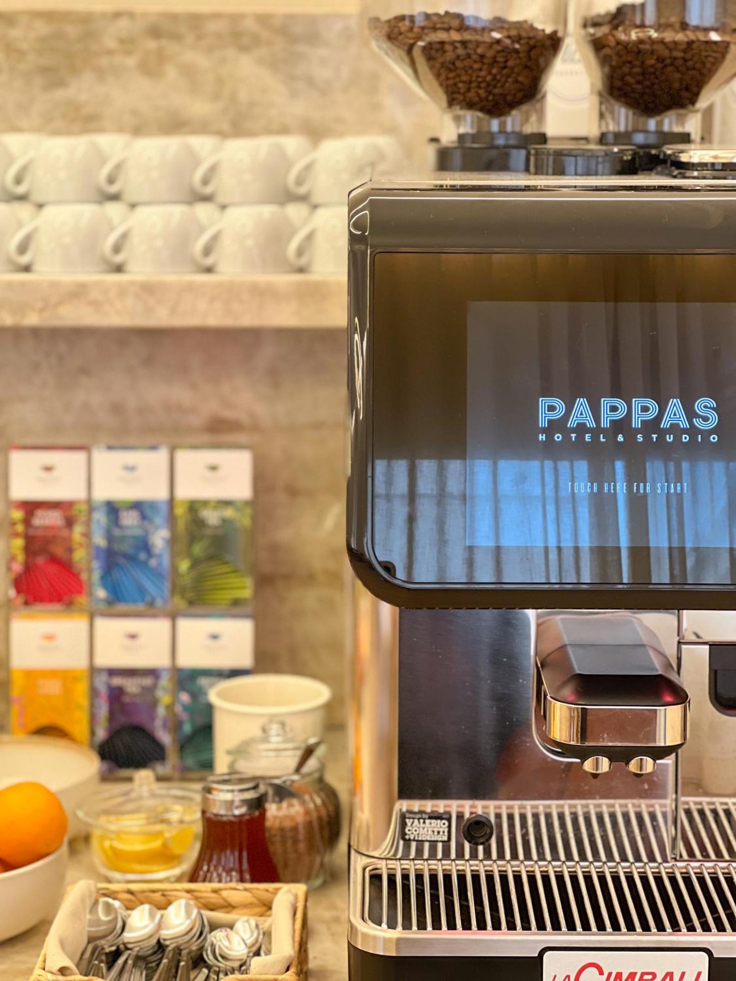Pappas Hotel&Studio Подебрады Экстерьер фото